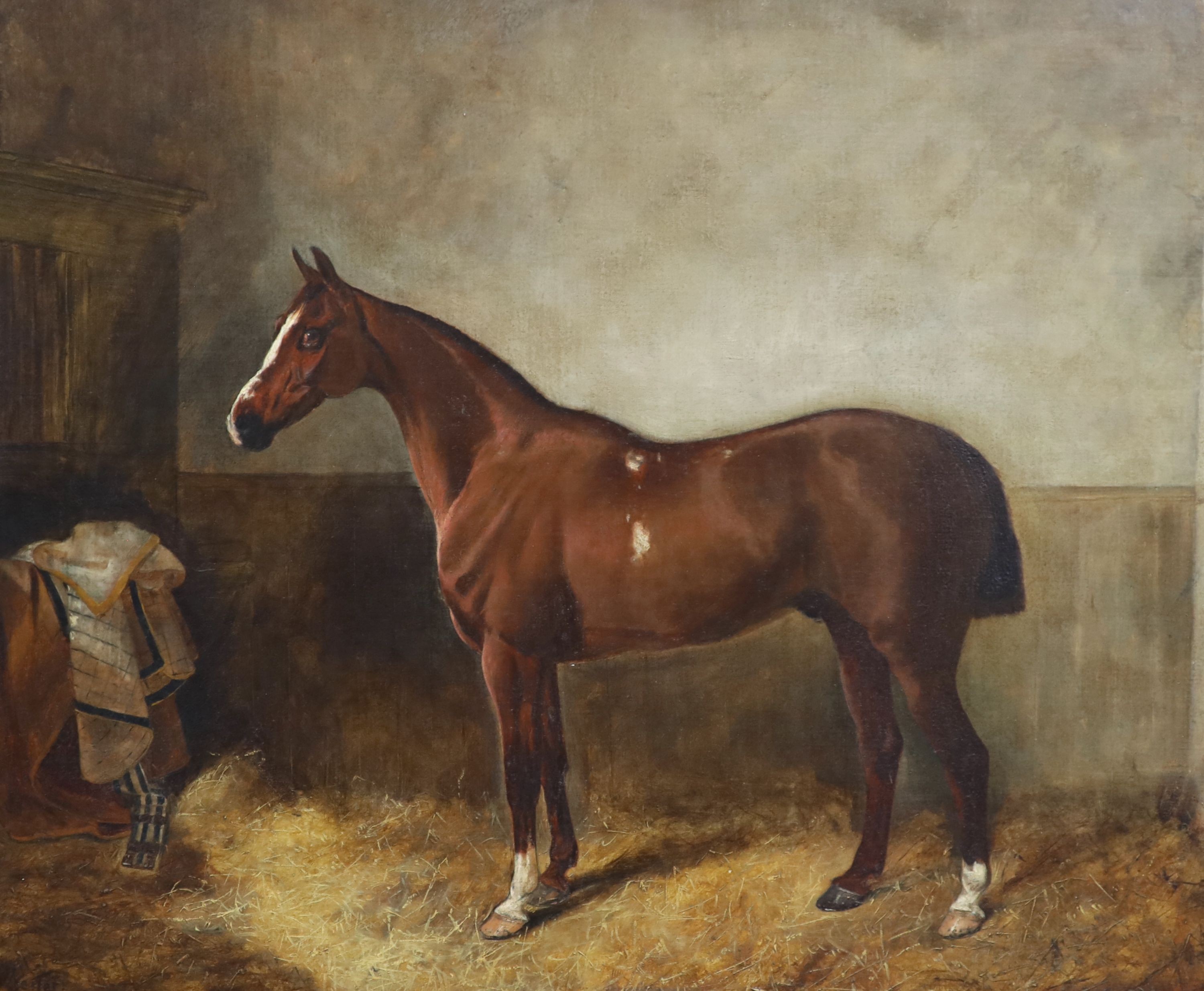 19th century English School, Portrait of a chestnut horse in a stable, Oil on canvas, 62 x 74cm.